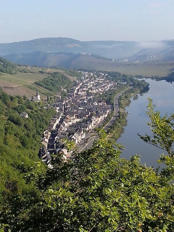 فندق Weingut Goeres بريديل المظهر الخارجي الصورة