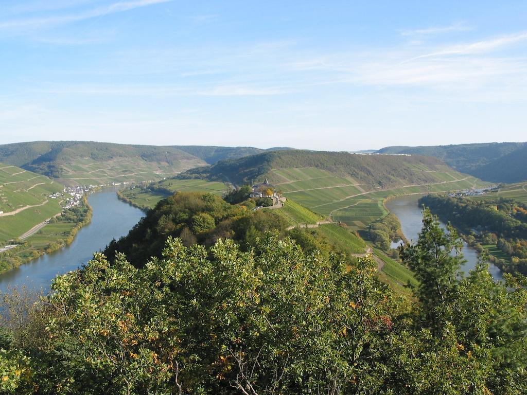فندق Weingut Goeres بريديل المظهر الخارجي الصورة